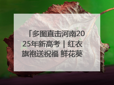 多图直击河南2025年新高考｜红衣旗袍送祝福 鲜花葵花助梦圆——尉氏县高考暖心送考