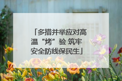 多措并举应对高温“烤”验 筑牢安全防线保民生