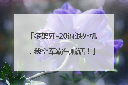 多架歼-20逼退外机，我空军霸气喊话！