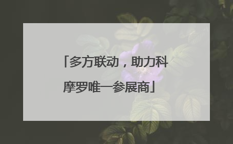 多方联动，助力科摩罗唯一参展商