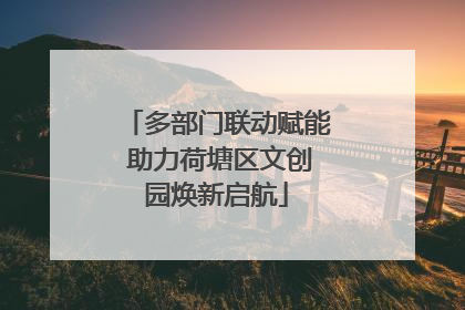 多部门联动赋能 助力荷塘区文创园焕新启航