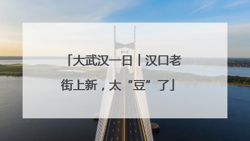 大武汉一日︱汉口老街上新，太“豆”了