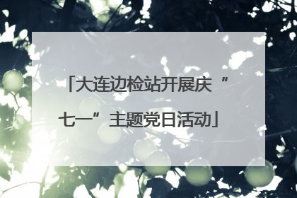 大连边检站开展庆“七一”主题党日活动