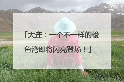 大连：一个不一样的梭鱼湾即将闪亮登场！