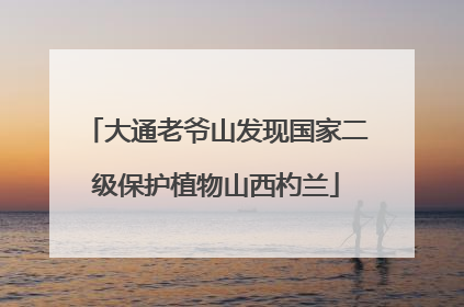 大通老爷山发现国家二级保护植物山西杓兰