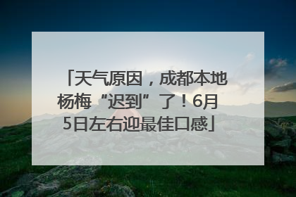 天气原因，成都本地杨梅“迟到”了！6月5日左右迎最佳口感