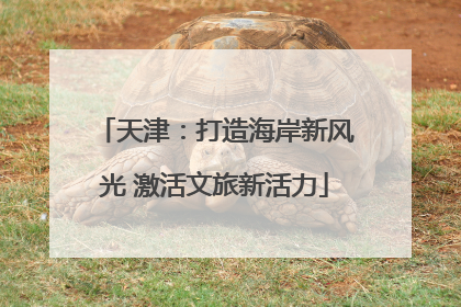 天津：打造海岸新风光 激活文旅新活力