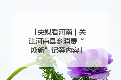 央媒看河南｜关注河南县乡消费“焕新”记等内容
