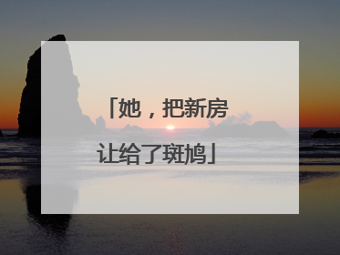 她，把新房让给了斑鸠