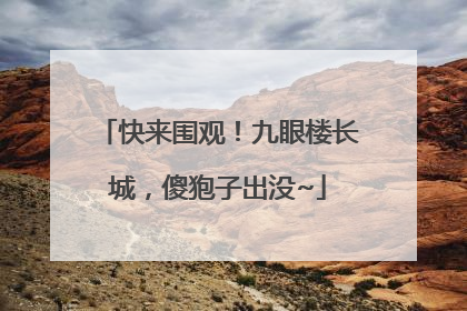快来围观！九眼楼长城，傻狍子出没~