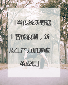 当传统沃野遇上智能浪潮，新质生产力加速破茧成蝶