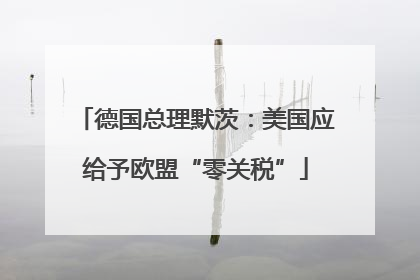 德国总理默茨：美国应给予欧盟“零关税”