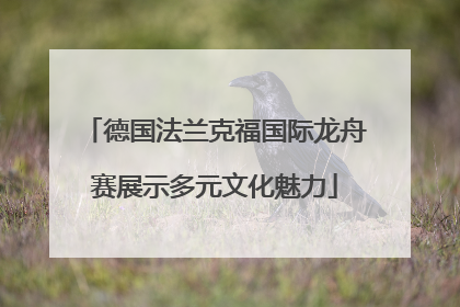 德国法兰克福国际龙舟赛展示多元文化魅力
