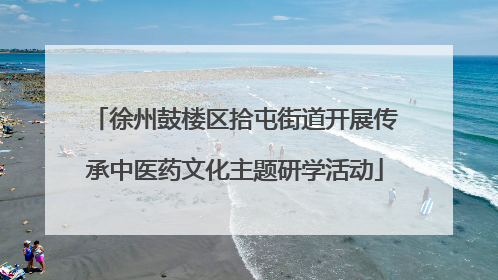 徐州鼓楼区拾屯街道开展传承中医药文化主题研学活动