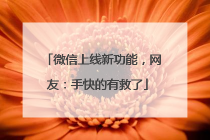 微信上线新功能，网友：手快的有救了