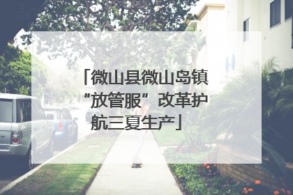 微山县微山岛镇“放管服”改革护航三夏生产