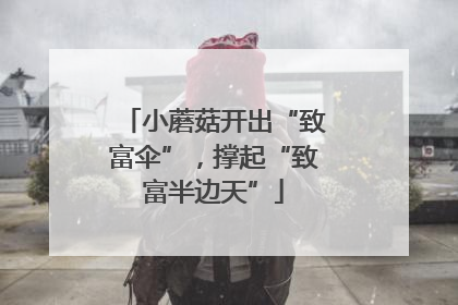 小蘑菇开出“致富伞”，撑起“致富半边天”