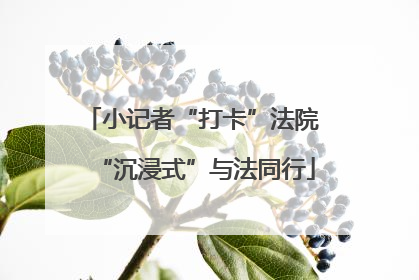 小记者“打卡”法院 “沉浸式”与法同行