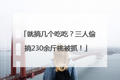 就摘几个吃吃？三人偷摘230余斤桃被抓！