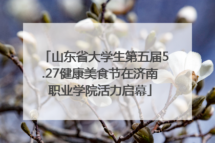 山东省大学生第五届5.27健康美食节在济南职业学院活力启幕