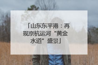 山东东平港：再现京杭运河“黄金水道”盛景