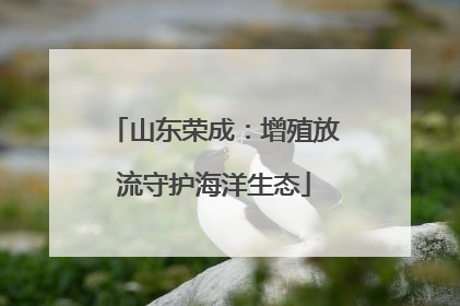山东荣成：增殖放流守护海洋生态