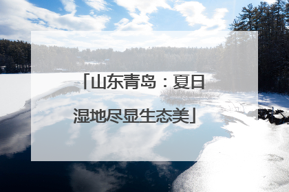 山东青岛：夏日湿地尽显生态美