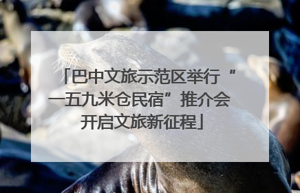 巴中文旅示范区举行“一五九米仓民宿”推介会 开启文旅新征程