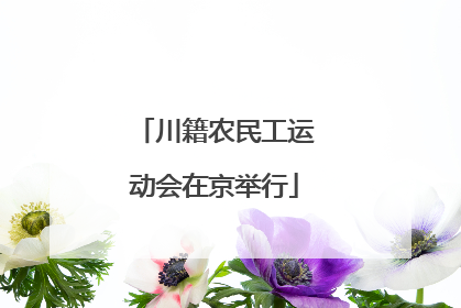 川籍农民工运动会在京举行