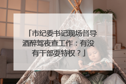 市纪委书记现场督导酒醉驾夜查工作：有没有干部耍特权？