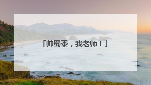 帅蜀黍，我老师！