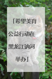 希望美育公益行动在黑龙江讷河举办