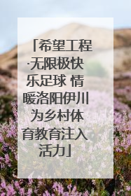 希望工程·无限极快乐足球 情暖洛阳伊川 为乡村体育教育注入活力