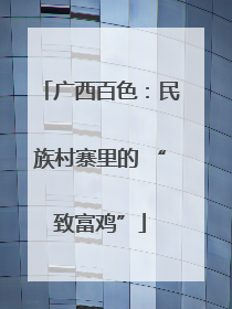 广西百色：民族村寨里的 “致富鸡”