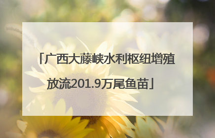 广西大藤峡水利枢纽增殖放流201.9万尾鱼苗