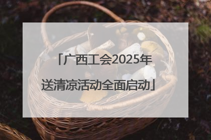 广西工会2025年送清凉活动全面启动