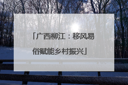 广西柳江：移风易俗赋能乡村振兴
