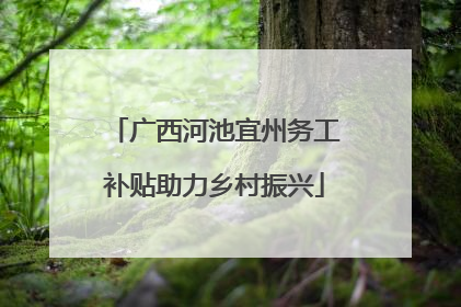 广西河池宜州务工补贴助力乡村振兴