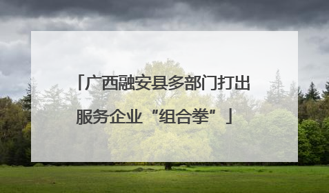 广西融安县多部门打出服务企业“组合拳”