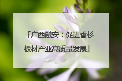 广西融安：促进香杉板材产业高质量发展