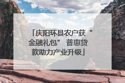 庆阳环县农户获“金融礼包” 普惠贷款助力产业升级