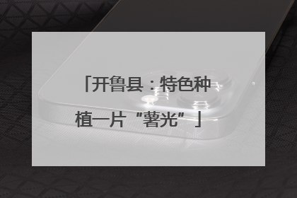 开鲁县：特色种植一片“薯光”