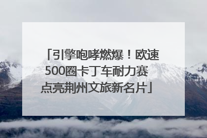 引擎咆哮燃爆！欧速500圈卡丁车耐力赛点亮荆州文旅新名片