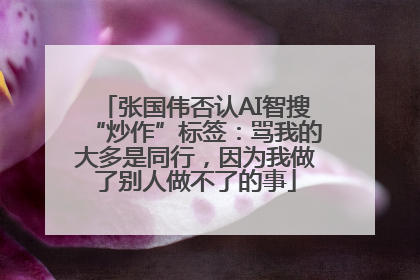 张国伟否认AI智搜“炒作”标签：骂我的大多是同行，因为我做了别人做不了的事