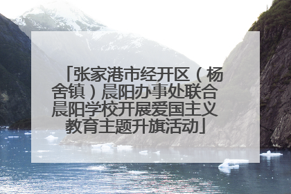 张家港市经开区（杨舍镇）晨阳办事处联合晨阳学校开展爱国主义教育主题升旗活动