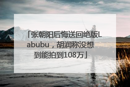 张朝阳后悔送回绝版Labubu，胡润称没想到能拍到108万