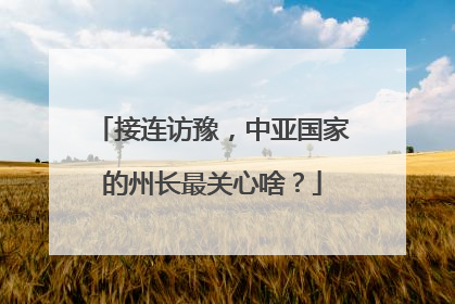 接连访豫，中亚国家的州长最关心啥？