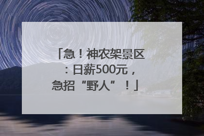 急！神农架景区：日薪500元，急招“野人”！