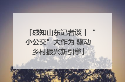 感知山东记者谈丨“小公交”大作为 驱动乡村振兴新引擎