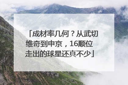 成材率几何？从武切维奇到申京，16顺位走出的球星还真不少